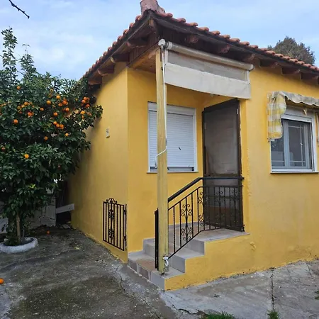 Prázdninový dům House